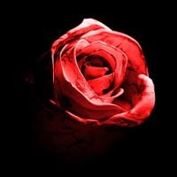 d4vd - Romantic Homicide - Live Version