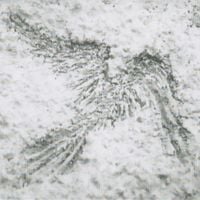 Gentle Stranger - Inner Winter