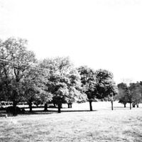 Video Days - ovals