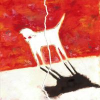 Cime - Frida and the Filibusters Bid Farewell and Fall Asunder
