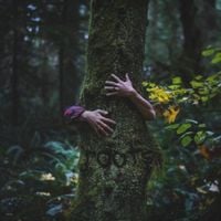 Gavn! - roots