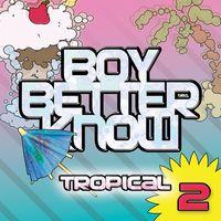 Various Artists - Tropical 2