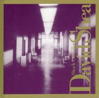 David Shea - Shock Corridor