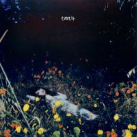 Body/Negative - everett