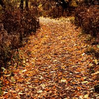 Kaskaskia - Autumnal Fleecian Spirit