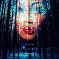 Priyanka Blah - Undone