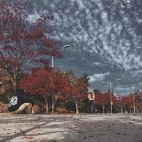 Sorrow - a one-sided love story