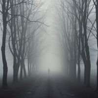 Crywolf - not to be here, not to be anywhere