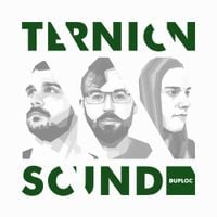 Ternion Sound - DUPPLATES Vol. 2