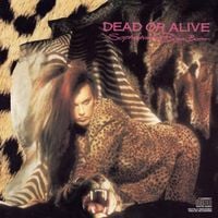 Dead or Alive - Sophisticated Boom Boom