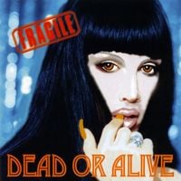 Dead or Alive - Fragile