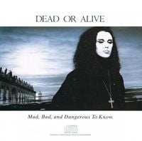 Dead or Alive - Mad, Bad, and Dangerous To Know.