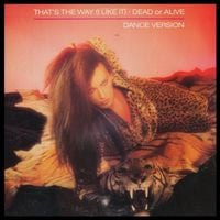 Dead or Alive - That's the Way (I Like It)