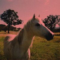 Drift - Candyland