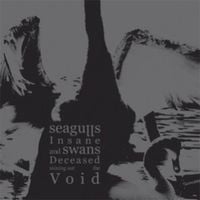 Seagulls Insane And Swans Deceased Mining Out The Void - Seagulls Insane and Swans Deceased Mining Out the Void