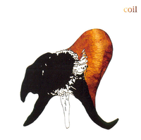 Coil - Black Antlers