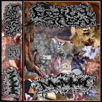 MxMxM - BODILY STEW//MXMXM SPLIT (MXMXM SIDE)