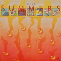 Bill Summers - Feel the Heat