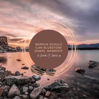 Markus Schulz - In Search of Sunrise 19 (Mixed by Markus Schulz, Ilan Blueston & Daniel Wanrooy)