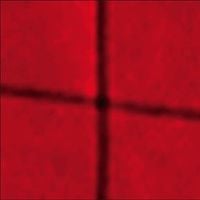 William Basinski - A Red Score in Tile