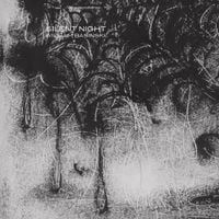 William Basinski - Silent Night