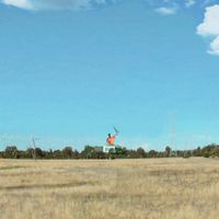 To Oscar - field notes