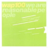 Various Artists - We Are Reasonable People