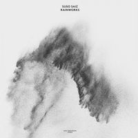 Suso S&aacute;iz - Rainworks