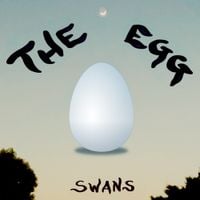 SWANS - THE EGG
