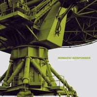 Somatic Responses - Folding Space