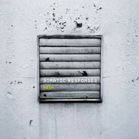 Somatic Responses - Neon