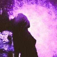 A Rose Dying in the Rain - P​&uacute;​rpura