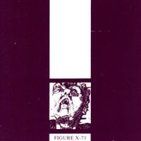Lab Report - Figure X-71