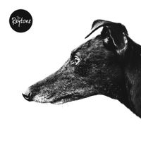 The Reytons - Canine