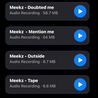 Meekz - Meekzness