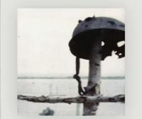 Prurient - Unmasking The Insect