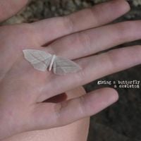 giving a butterfly a skeleton - giving a butterfly a skeleton