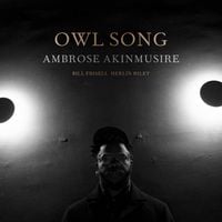 Ambrose Akinmusire, Bill Frisell & Herlin Riley - Owl Song