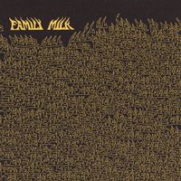 Fever Feel - Family Milk
