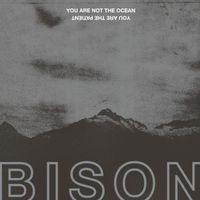 Bison B.C. - You Are Not the Ocean You Are the Patient