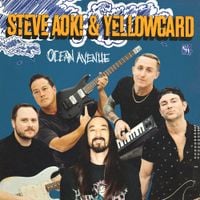 Steve Aoki - Ocean Avenue