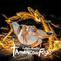 Get&uacute;lio Abelha - Tamanco de fogo