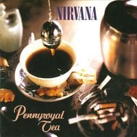 Nirvana - Pennyroyal Tea