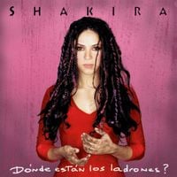 Shakira - &iquest;D&oacute;nde Est&aacute;n los Ladrones?