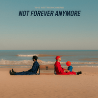 The Astronomers - Not Forever Anymore