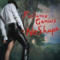 Perfume Genius - Die 4 You