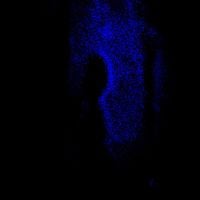 melancholia blue - come back to earth.