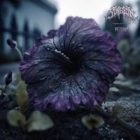 Surgeon - Petunia