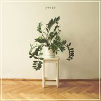 Zwidy - Zwidy