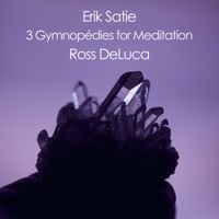 Ross DeLuca - Erik Satie: 3 Gymnop&eacute;dies for Meditation